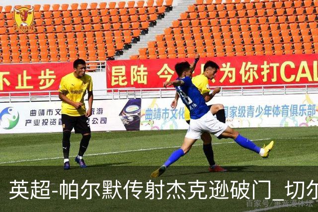 英超-帕尔默传射杰克逊破门 切尔西3-2纽卡斯尔